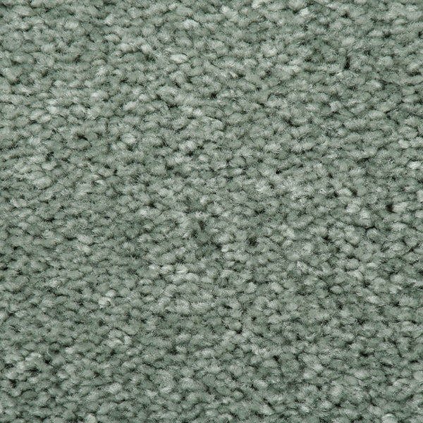 Springtime 29 Bellaire Carpet