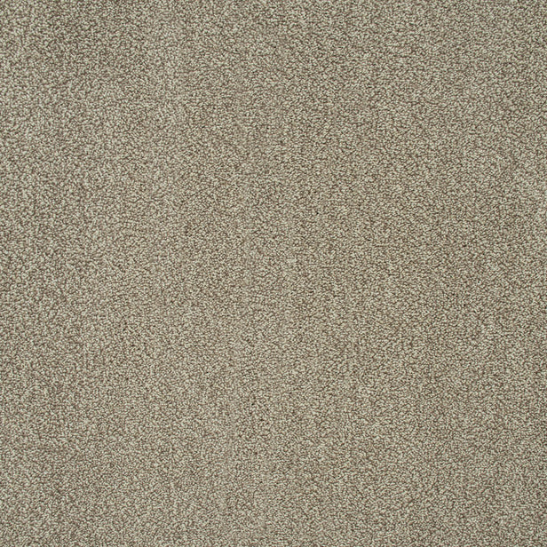 Stone Beige 72 Emotion Elite Intenza Carpet