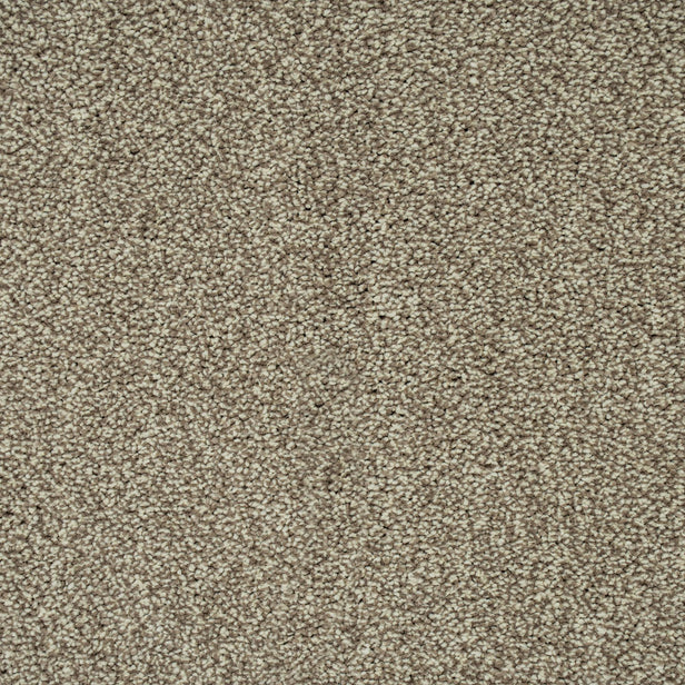 Stone Beige 72 Emotion Elite Intenza Carpet