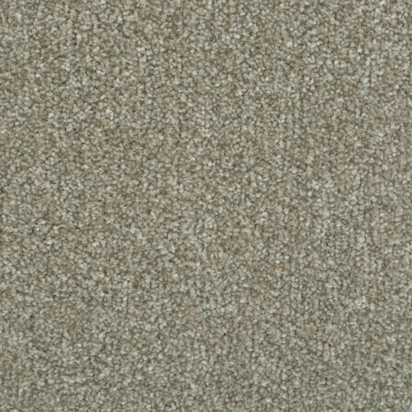 Stone Grey 175 Palace Twist Carpet