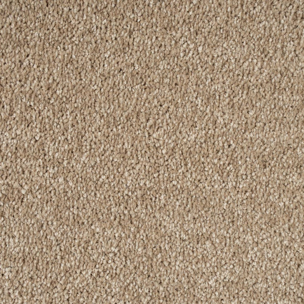 Suede 34 Bellaire Carpet