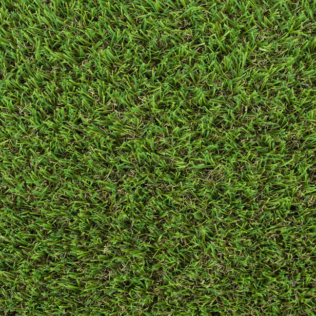 Toledo 25mm Artificial Grass