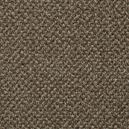 Treviot 42 Stainaway Tweed Carpet