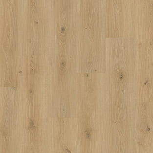 Trianon Oak 61064 Livanti 8mm Balterio Laminate Flooring