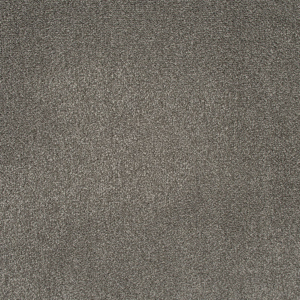 Warm Grey 77 Emotion Classic Intenza Carpet