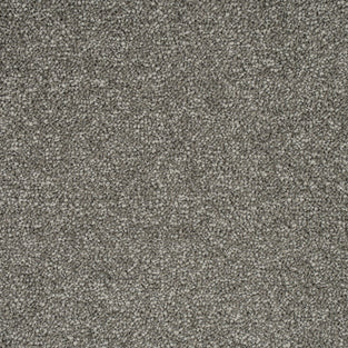 Warm Grey 77 Emotion Elite Intenza Carpet