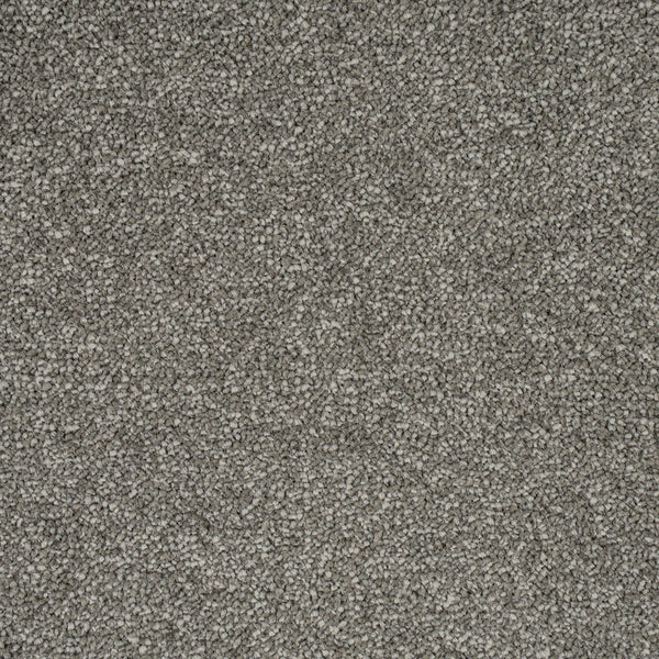 Warm Grey 77 Emotion Elite Intenza Carpet 5.29m x 5m Remnant