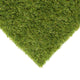 Waterbury 32mm Artificial Grass