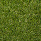 Waterbury 32mm Artificial Grass
