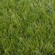 Waterbury 32mm Artificial Grass