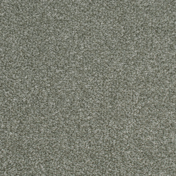 Zinc 76 Palace Twist Carpet 5.29m x 5m Remnant