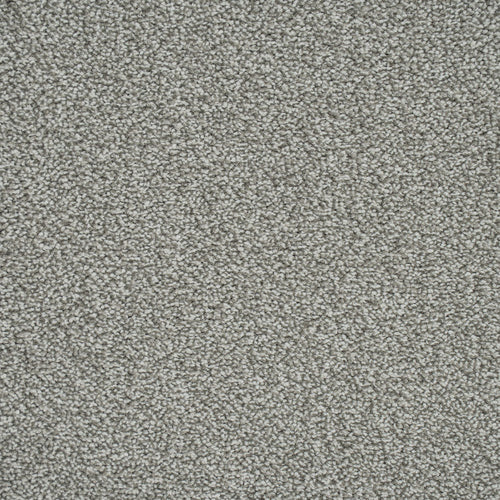 Zinc 276 Emotion Classic Intenza Carpet 4.8m x 5m Remnant