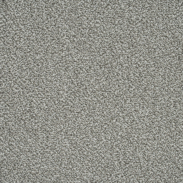 Zinc 276 Emotion Classic Intenza Carpet 4.8m x 5m Remnant
