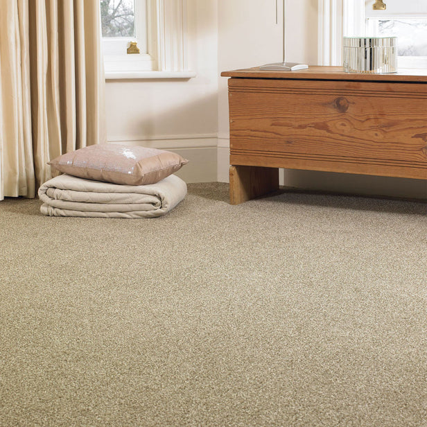 StainFree Images Twist Carpet