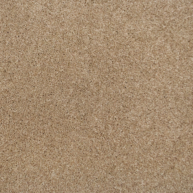 Acacia 34 Pegasus 70oz Heathers Invictus Carpet