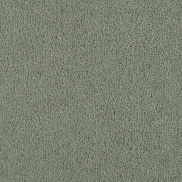 Acer 50oz Home Counties Carpet Buy Cormar Home Counties Plains