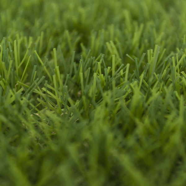Palmdale Artificial Grass
