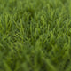 Palmdale Artificial Grass
