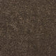 Earth Brown 90 Affluent Carpet