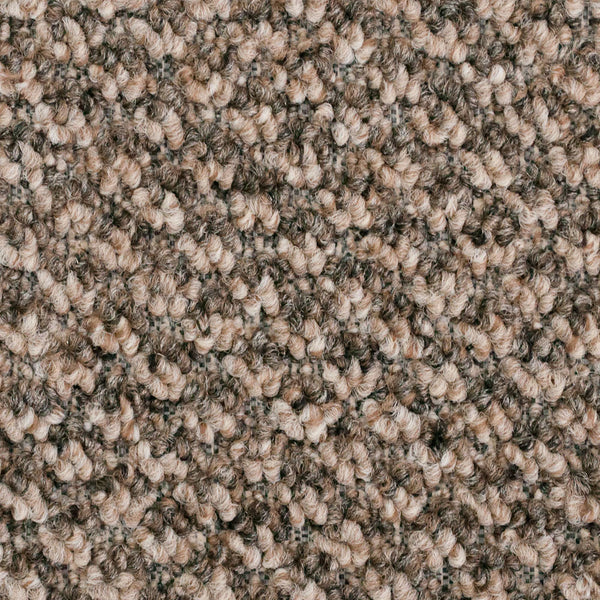Soft Brown & Dark Brown 880 Aim High Carpet