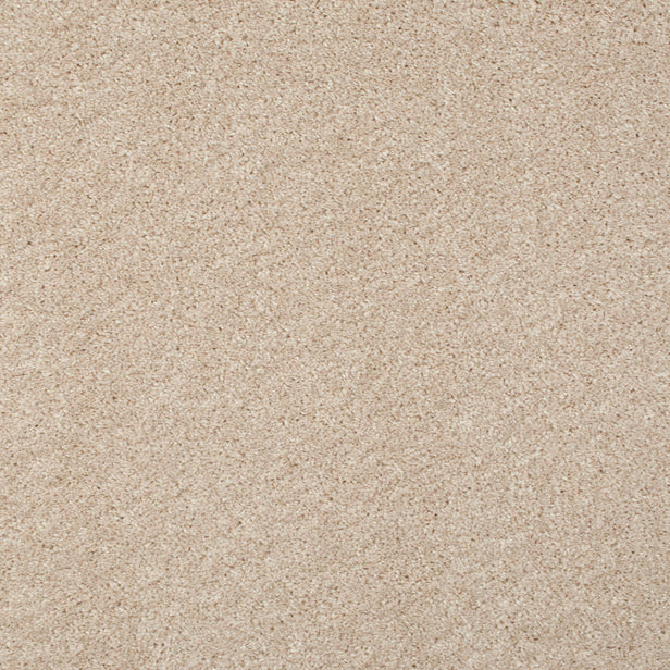 Alabaster 71 Barello Plains Intenza Carpet