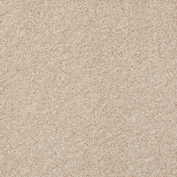 Alabaster 71 Barello Plains Intenza Carpet