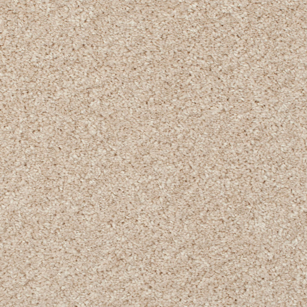 Alabaster 71 Barello Plains Intenza Carpet