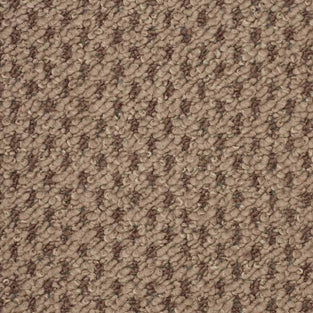 Mink Phoenix Loop Feltback Carpet