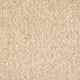 Almond 31 Splendour iSense Carpet