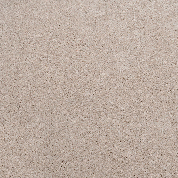 Stainfree Amore Carpet