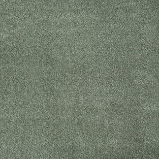 Ambleside 28 iSense Obsession Carpet