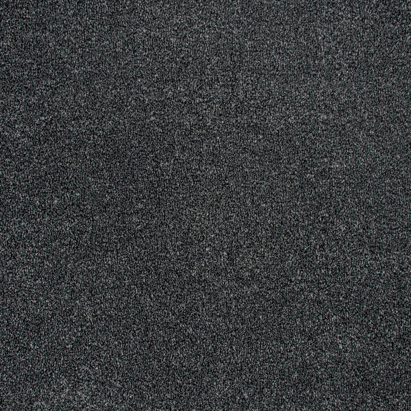 Anthracite Indiana Saxony Carpet