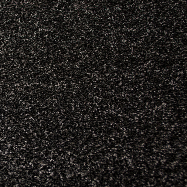 Stainfree Emperor Carpet