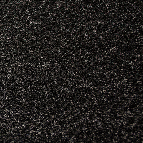 Anthracite Stainfree Royale Carpet