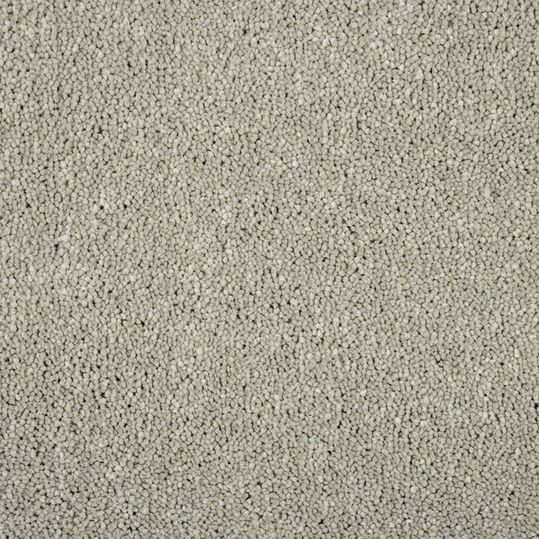 Arctic Grey Sensation Original 60oz Carpet by Cormar