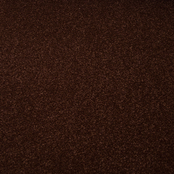 Chocolate Stainfree Arena Carpet