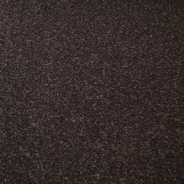Pewter Stainfree Arena Carpet