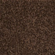 Chocolate Stainfree Arena Carpet