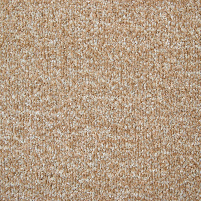 Corn Stainfree Arena Carpet Buy Stainfree Abingdon Carpet