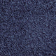 Marine Stainfree Arena Carpet