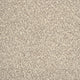 Stone Stainfree Arena Carpet