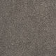 Ash Grey 940 Soft Noble Actionback Carpet
