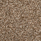 Brown Avalon Saxony Actionback Carpet