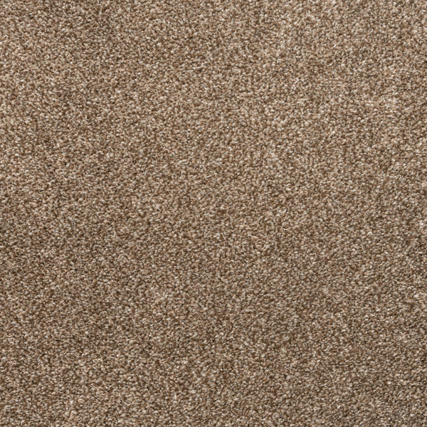 Brown Avalon Saxony Actionback Carpet