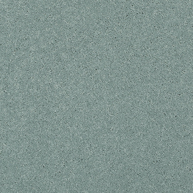 Azure 81 Ultimate Twist Intenza Carpet