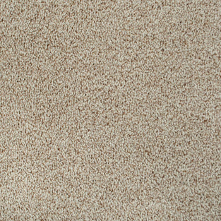 Barely Beige 630 Noble Heathers Saxony Feltback Carpet