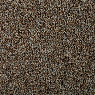 Bark Mirage Saxony Carpet
