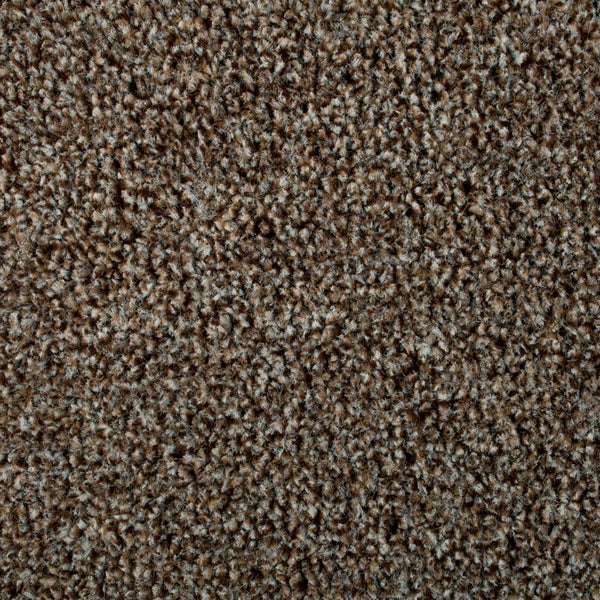 Bark Mirage Saxony Carpet 4.01m x 5m Remnant