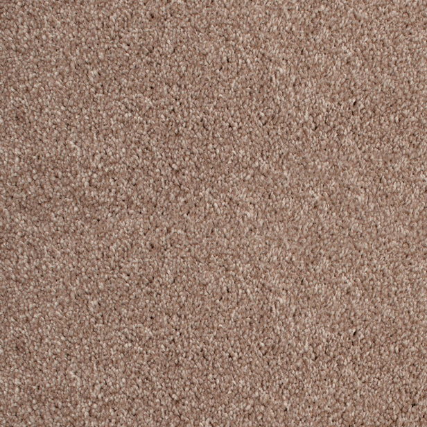 Barley 34 Distinction Supreme Carpet
