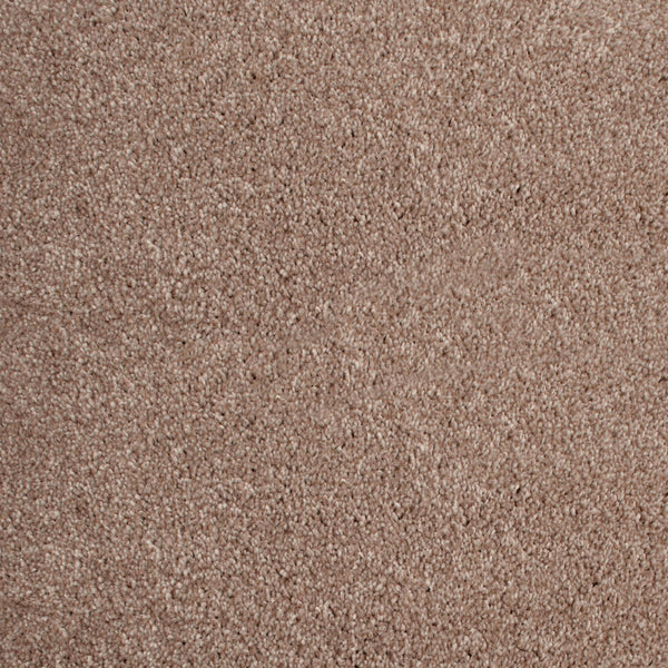 Barley 34 Distinction Supreme Carpet